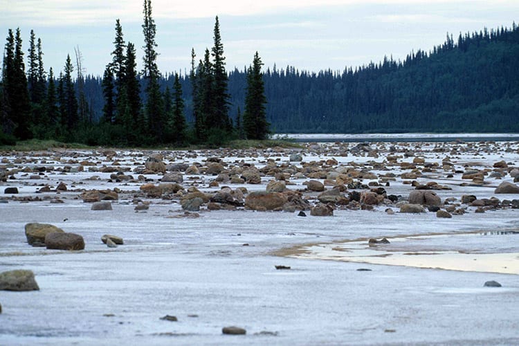 Wood Buffalo National Park