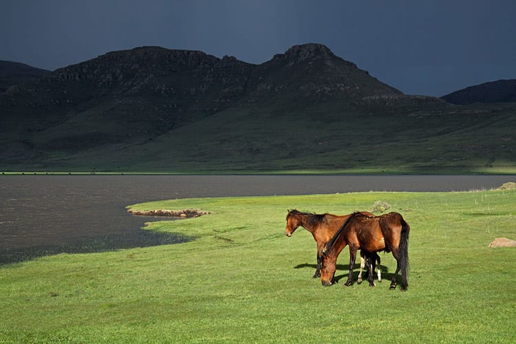 Paardrijden in Lesotho