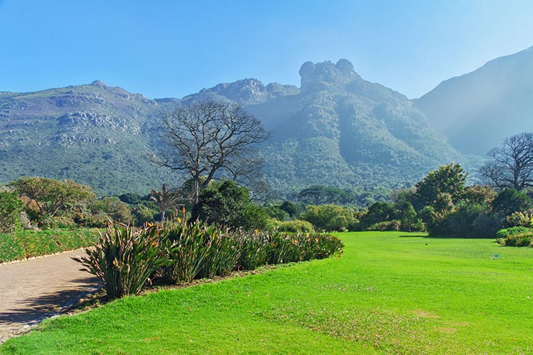 Kirstenbosch