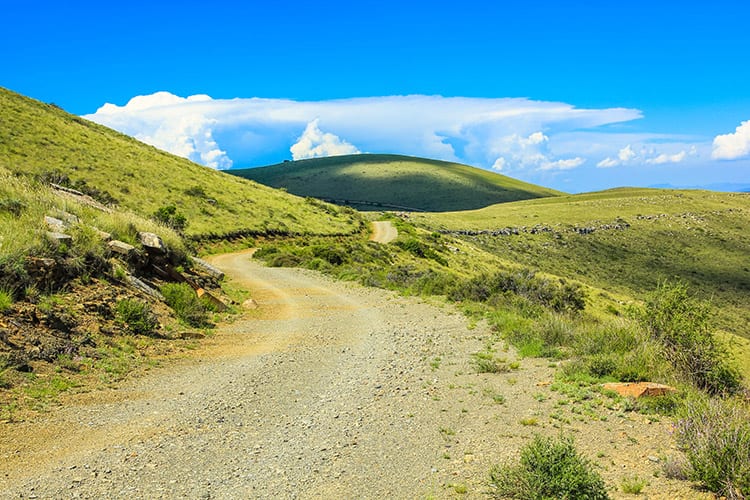 Mountain Zebra National Park, Zuid-Afrika