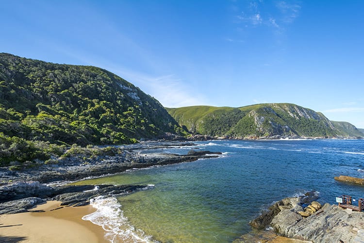 Tsitsikamma National Park