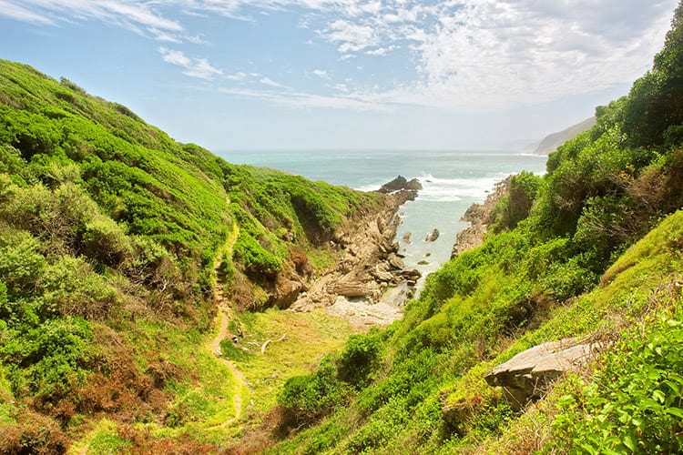 Otter Trail, Tsitsikamma National Park