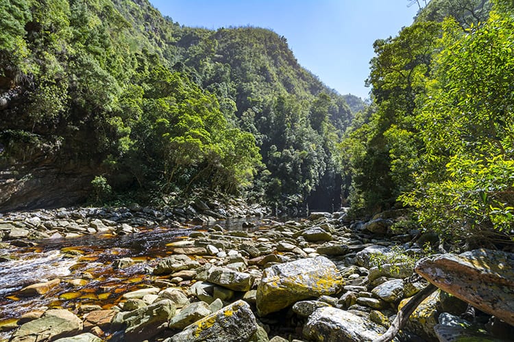 Storms River Canyon, Tsitsikamma National Park