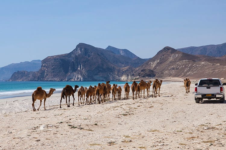 Masirah strand, Oman