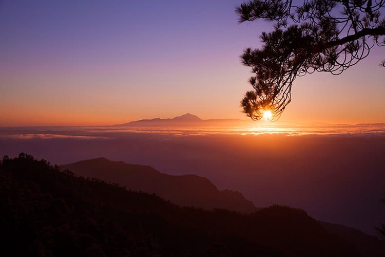 Parque Natural Tamadaba, Gran Canaria