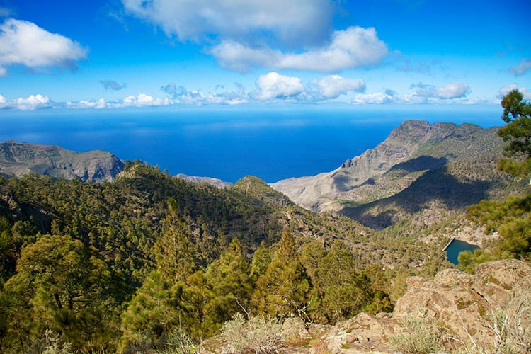 Parque Natural Tamadaba, Gran Canaria