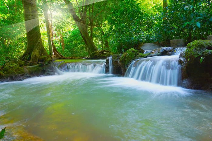 Than Bok Khorani National Park, Thailand