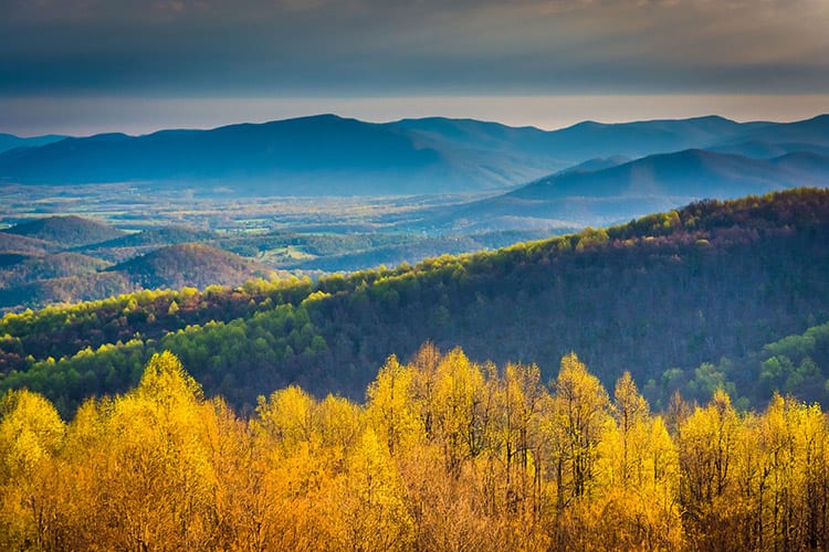 Skyline Drive in het Shenandoah National Park