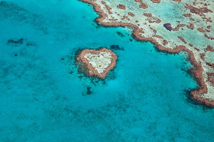 Heart Reef in het Great Barrier Reef
