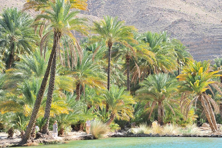 Wadi Bani Khalid