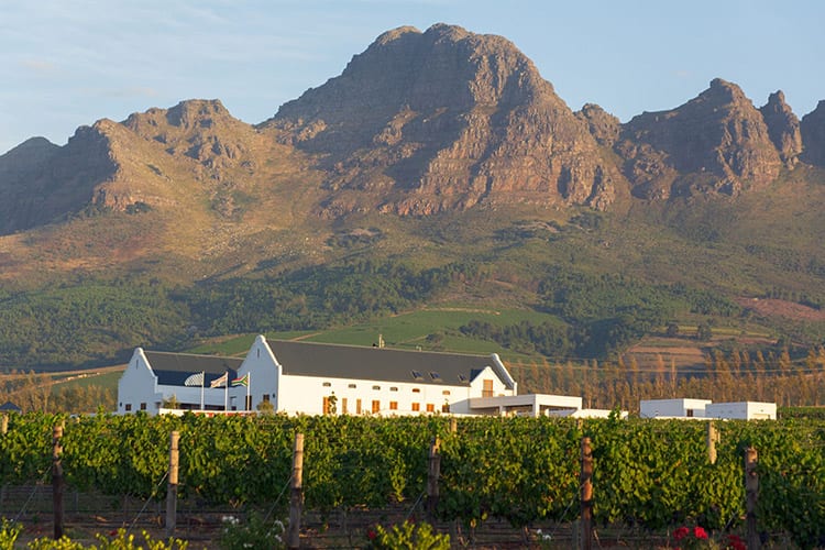 Kaapse wijnlanden