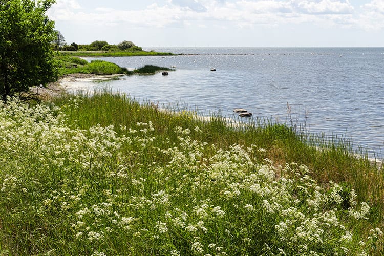 Öland, Zweden