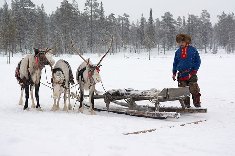 Sámi, Zweeds Lapland