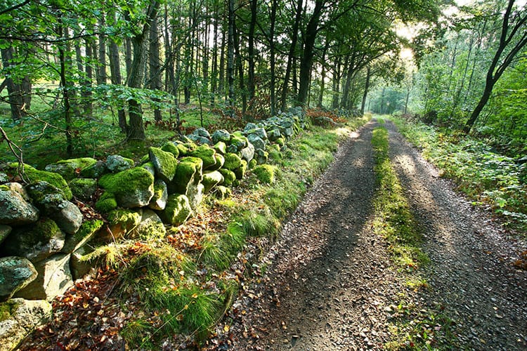 Skåneleden