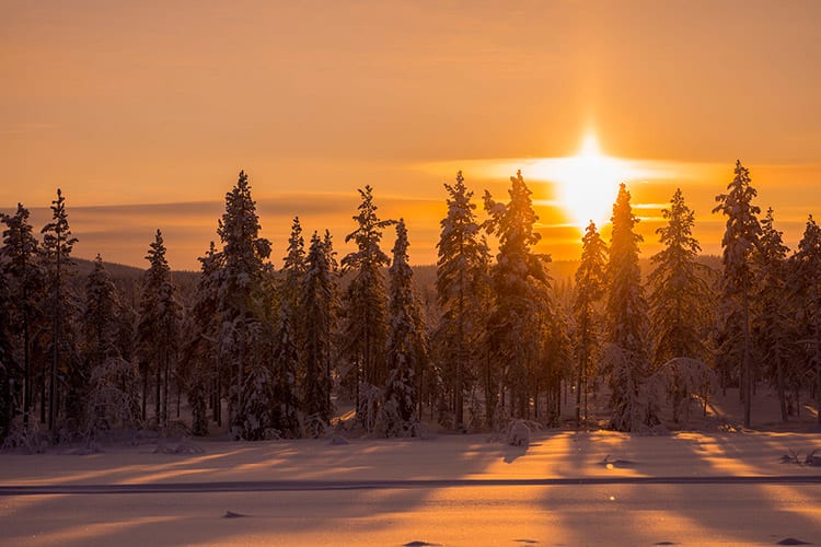 Zweeds Lapland