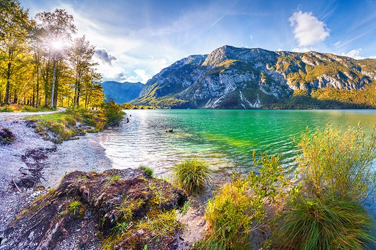Meer van Bohinj, Slovenië