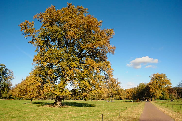 Twente, Nederland