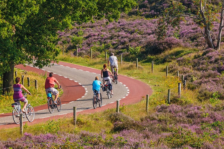 Nationaal Park Veluwezoom, Nederland
