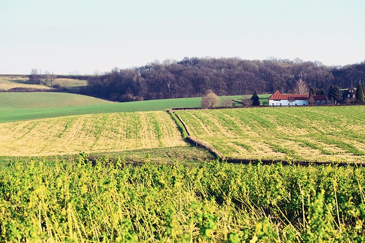 Zuid-Limburg, Nederland