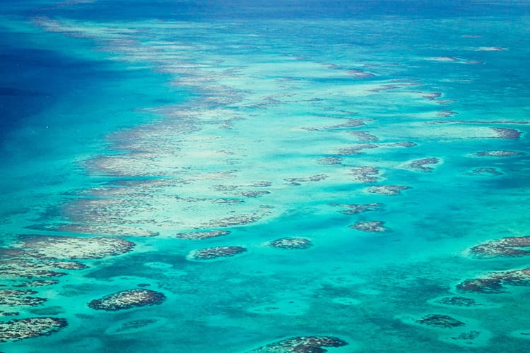 Belize Barrier Reef, Caye Caulker