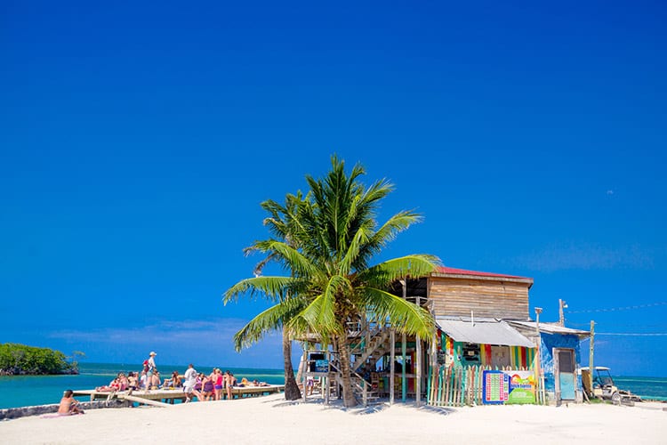 The Lazy Lizard bar, Caye Caulker