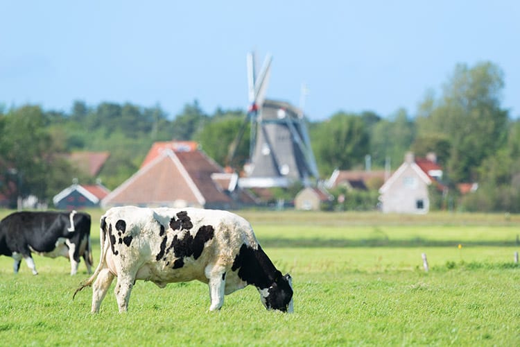 Formerum op Terschelling