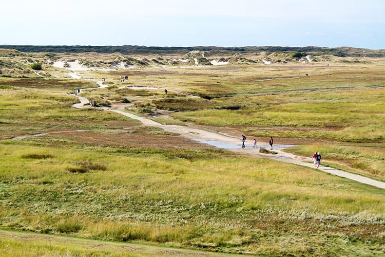 Natuurgebied De Slufter, Texel