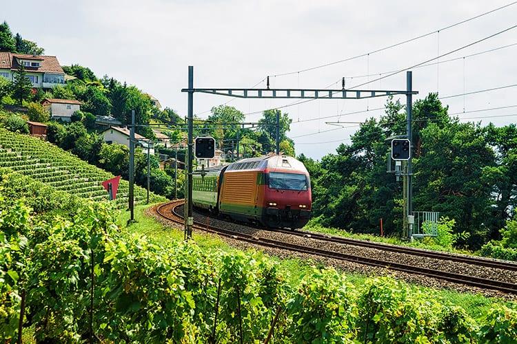 Wijngaarden van Lavaux, Zwitserland
