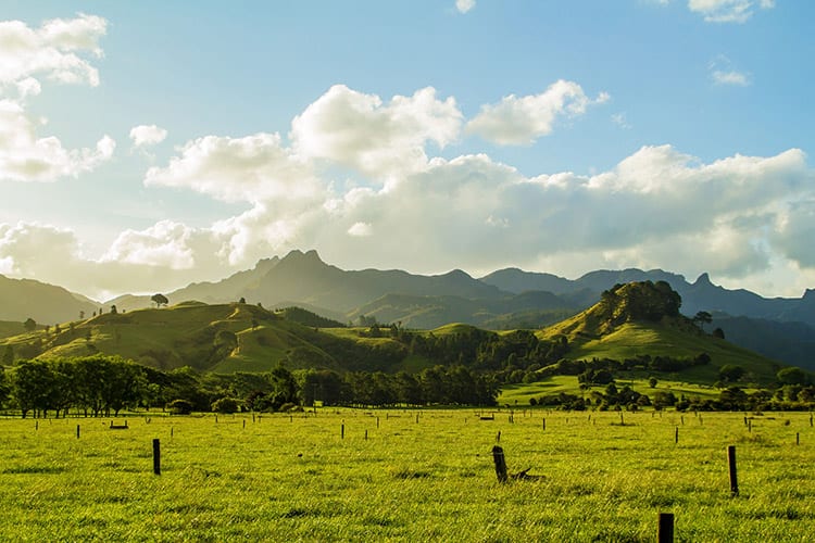 Coromandel Peninsula, Nieuw-Zeeland