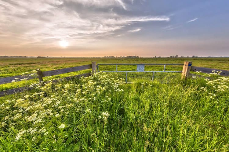 Zuidlaren, Drenthe