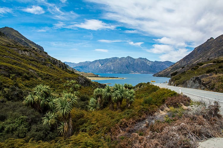 Haast Pass, Nieuw-Zeeland