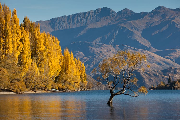 Lake Wanaka, Nieuw-Zeeland