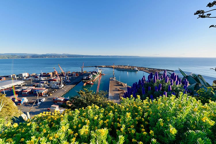 Bluff Hill, Napier
