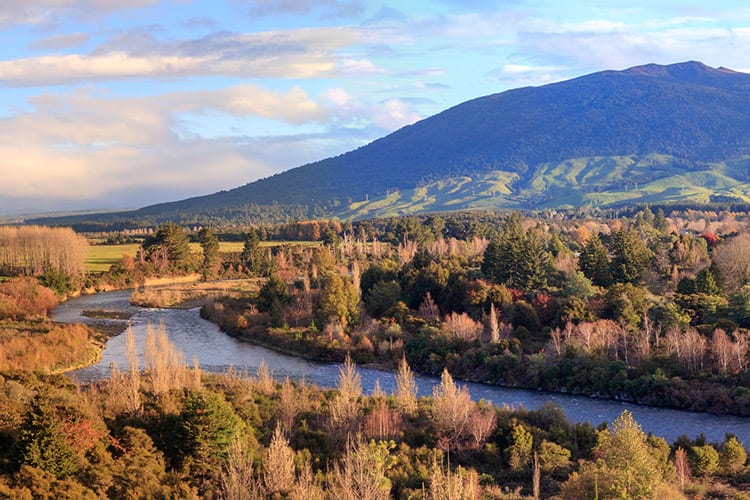 Turangi, Nieuw-Zeeland