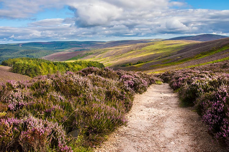 Cairngorms National Park, Schotse Hooglanden