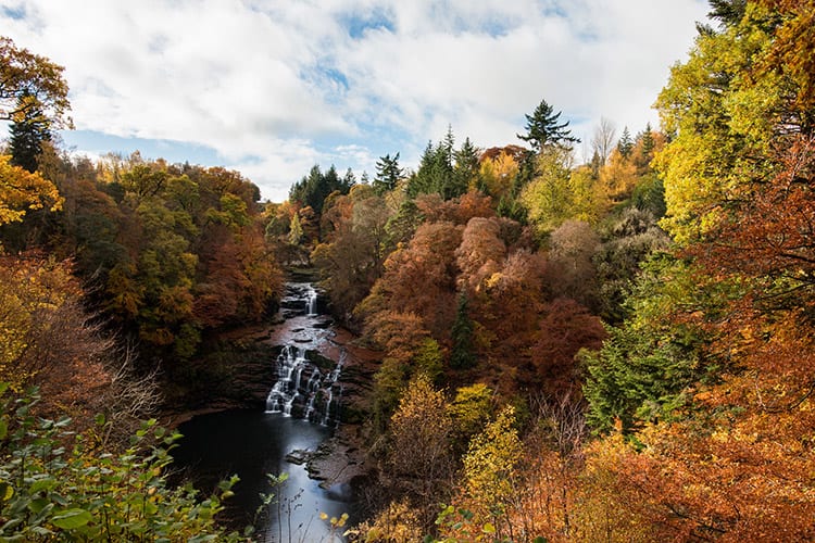Falls of Clyde, Schotse Laaglanden
