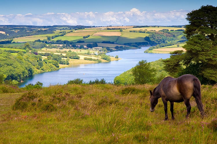 Exmoor National Park, Somerset