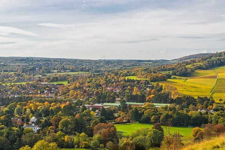 North Downs, Surrey