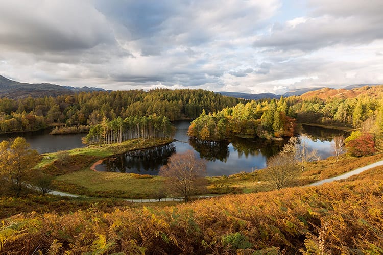 Tarn Hows, Lake District
