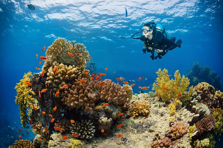 Marsa Alam duiken