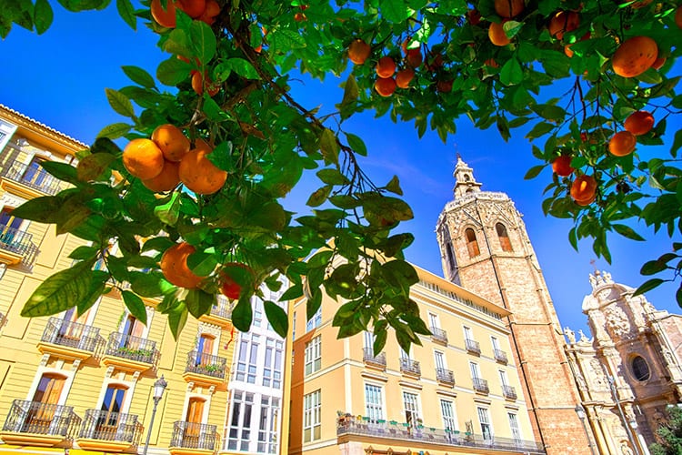 Valencia stedentrip