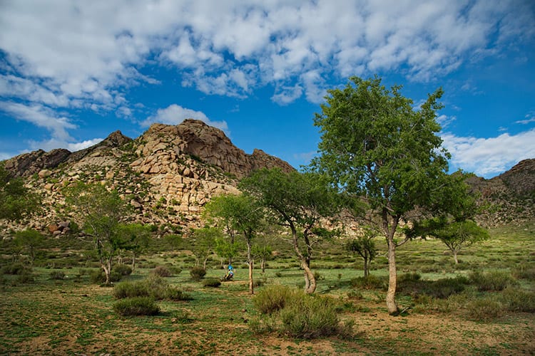 Khögnö Khan Uul National Park
