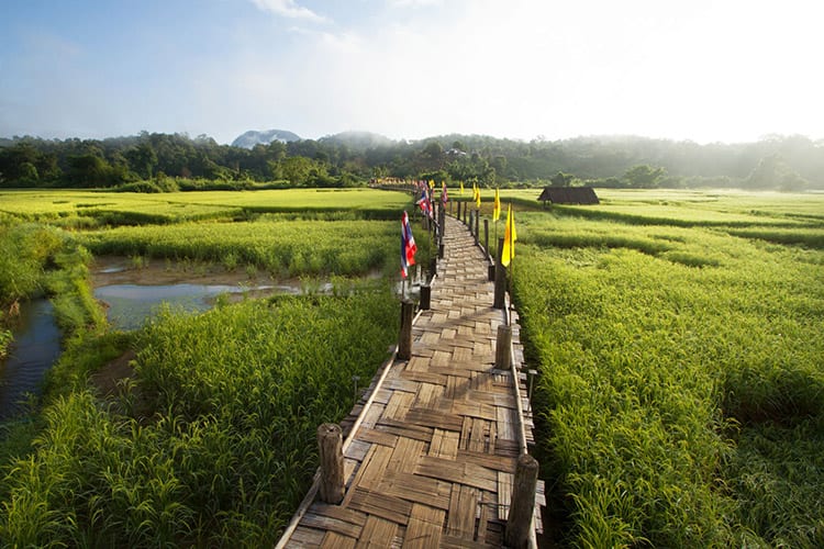 Su Tong Pae bamboebrug, Mae Hong Son