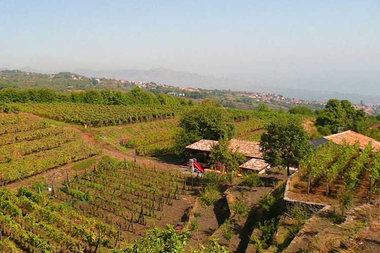Agriturismo Le Case Del Merlo, Sicilië