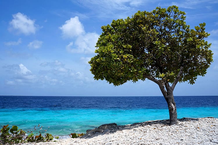 Klein Bonaire