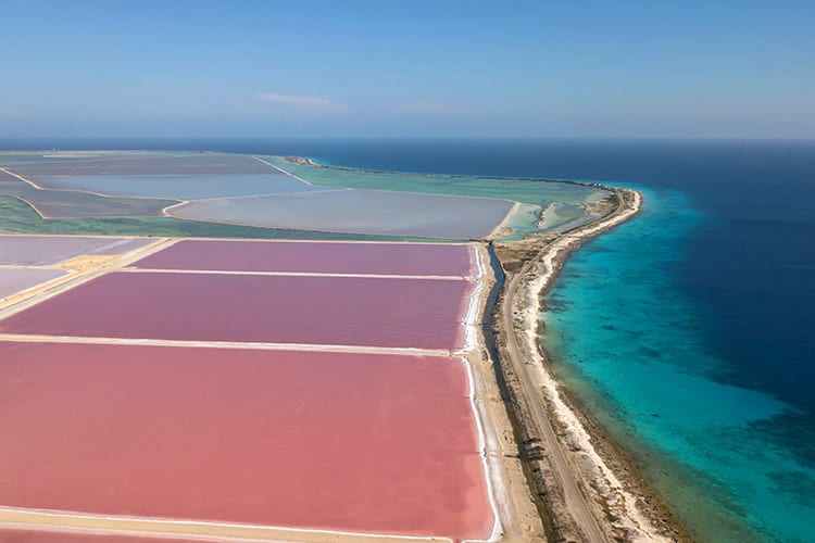 Salinas, Bonaire