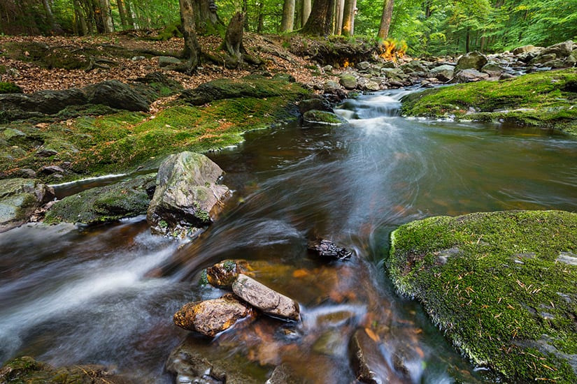 De Belgische Ardennen